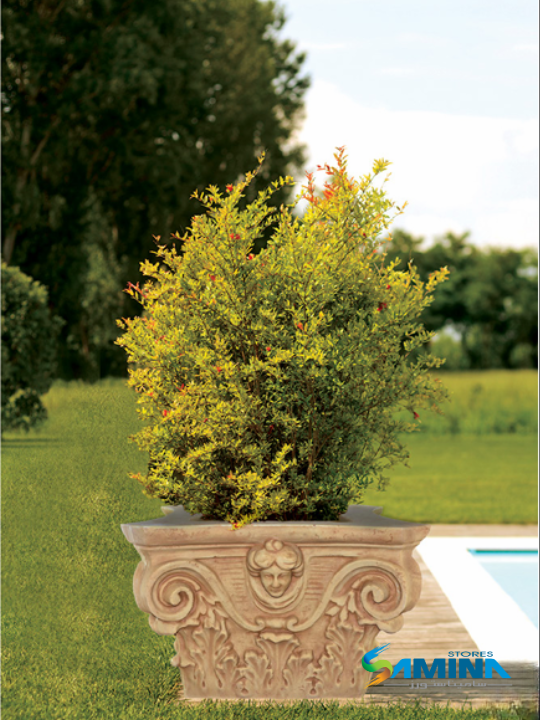 حوض نباتات ديكوري Olymp Aperto من Kenzi Botanics، مناسب للاستخدام الداخلي والخارجي ومقاوم للعوامل الجوية.