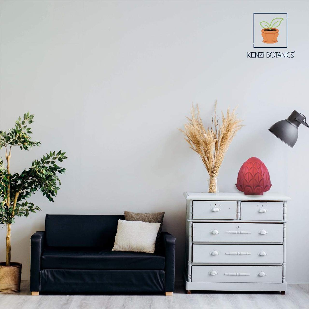 اطلب اون لاين حوض نباتات ديكوري مضئ Mito-Illuminato Kenzi Botanics