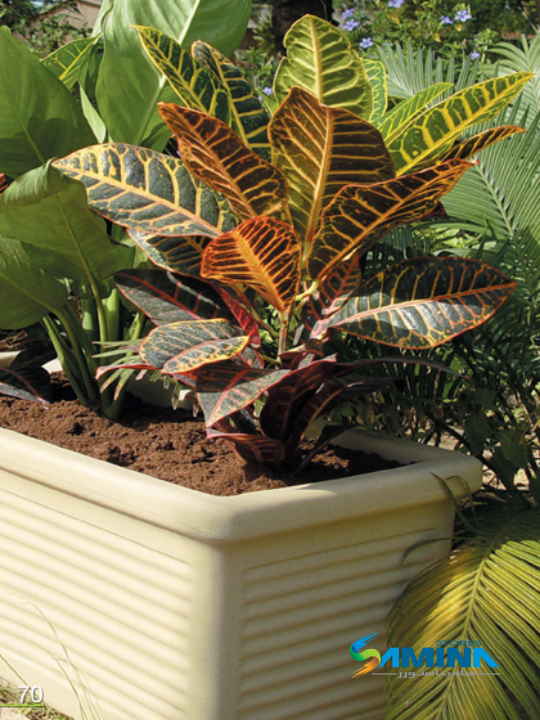 حوض نباتات ديكوري بولي إيثيلين عالي النقاء Roman Classic  Kenzi Botanics