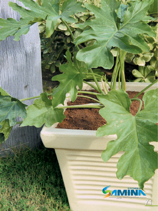 حوض نباتات ديكوري بولي إيثيلين عالي النقاء Roman Classic pc,pe Kenzi Botanics