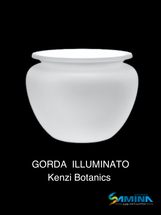 احواض نباتات  مضئ Gorda - Illuminata من Kenzi Botanics هو حوض ديكوري فاخر مصنوع من خامة
والتي توفر مزيجًا مثاليًا من المتانة، خفة الوزن، والعمر الافتراضي الطويل.