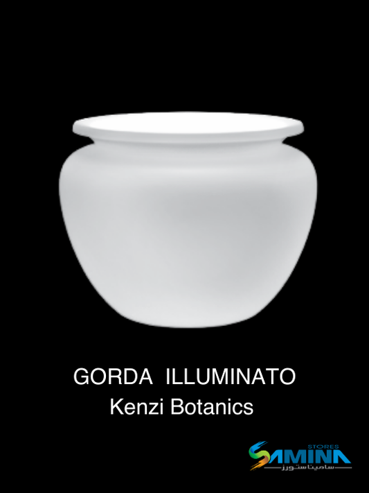 احواض نباتات  مضئ Gorda - Illuminata من Kenzi Botanics هو حوض ديكوري فاخر مصنوع من خامة
والتي توفر مزيجًا مثاليًا من المتانة، خفة الوزن، والعمر الافتراضي الطويل.