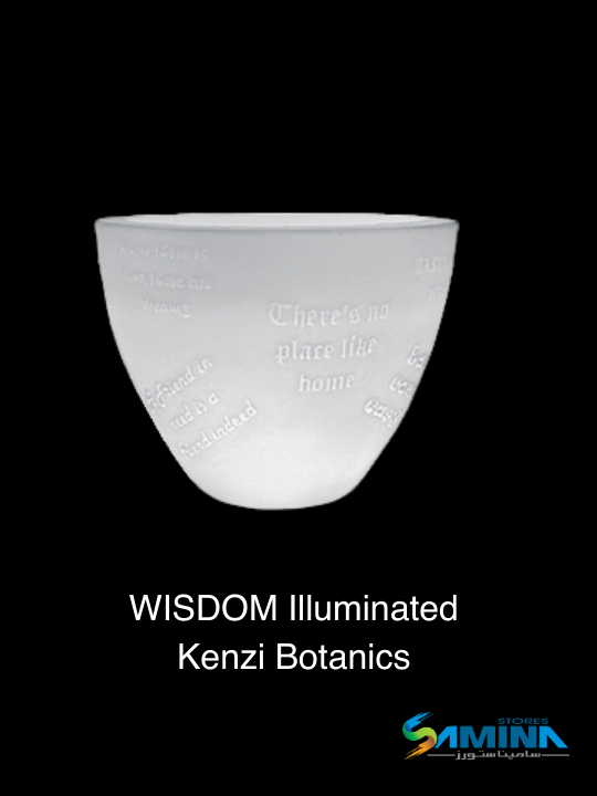 اطلب اون لاين حوض نباتات ديكوري مضئ  Wisdom  Illuminato Kenzi Botanics