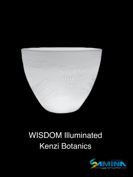 اطلب اون لاين حوض نباتات ديكوري مضئ  Wisdom  Illuminato Kenzi Botanics