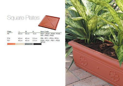 حوض نباتات ديكوري Square Plates من Kenzi Botanics، مناسب للاستخدام الداخلي والخارجي ومقاوم للعوامل الجوية.